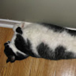 Meet your Posher, Jocelyn